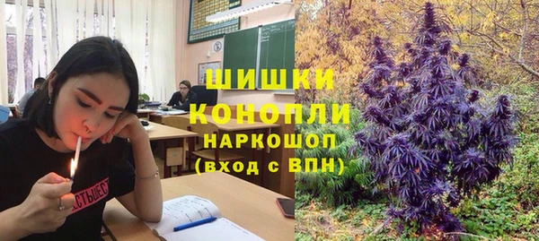 ГАЛЛЮЦИНОГЕННЫЕ ГРИБЫ Нефтегорск